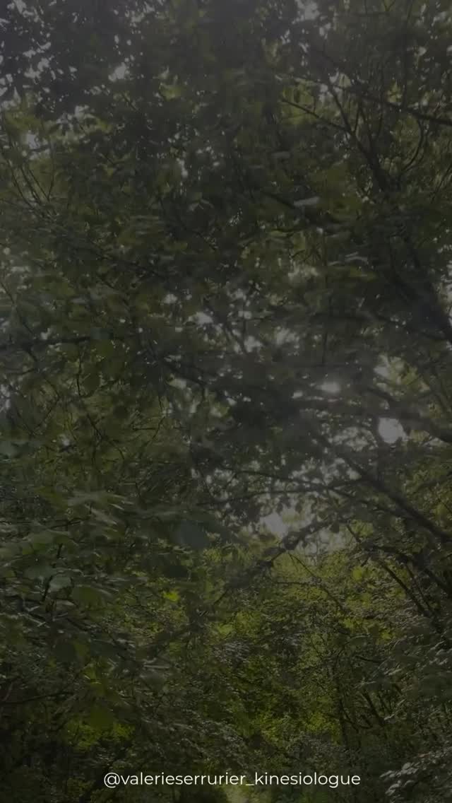 C’est beau, facile à dire…
Mais tellement dur à vivre.

Aimer comme ça,
ça demande de faire face à ses croyances,
ses peurs,
ses doutes,
ses habitudes.

Ça vient bousculer notre vision des choses,
nous pousser à nous remettre en question,
à accepter d’avoir tort,
à s’excuser,
à avoir mal…

Parfois même, à reconnaître que cette relation n’est pas faite pour durer.
À voir l’autre tel qu’il est.
Sans illusions.
Sans chercher à le changer.
À reconnaître aussi le mal qu’il peut nous faire,
sans le nier,
sans le justifier.

Et c’est ok.
Certaines histoires passent pour nous faire grandir.
Elles posent nos limites,
nous montrent ce qu’on veut…
et surtout ce qu’on ne veut plus.

Ce n’est pas perdre.
Ce n’est pas un échec.
C’est une opportunité.

L’opportunité d’évoluer,
de s’écouter,
de danser à nouveau.
Peut-être avec cette personne,
peut-être avec une autre…

Mais toujours,
en restant avec soi.